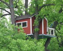 Дом на дереве — как построить проект своей мечты